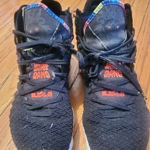 Nike Lebron 17 James Gang Size 14
